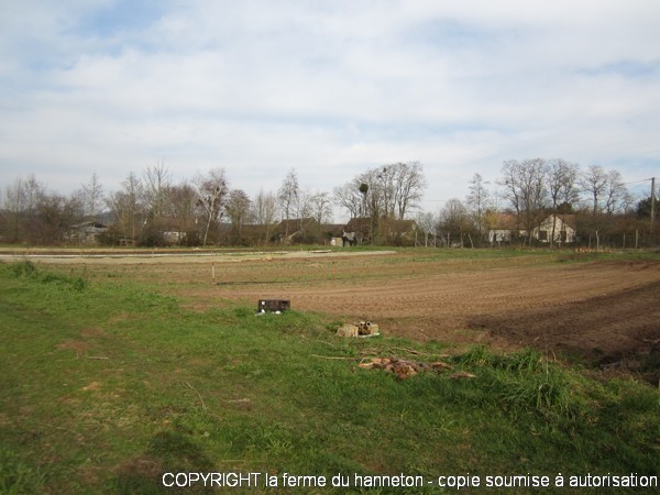 Parcelle12012-S03-1
