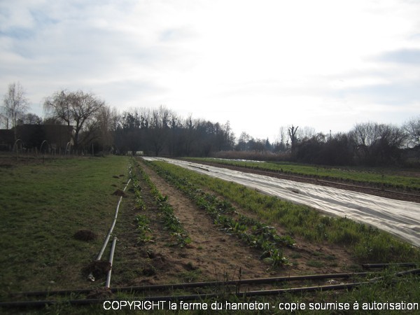 Roseau2012-S03-1