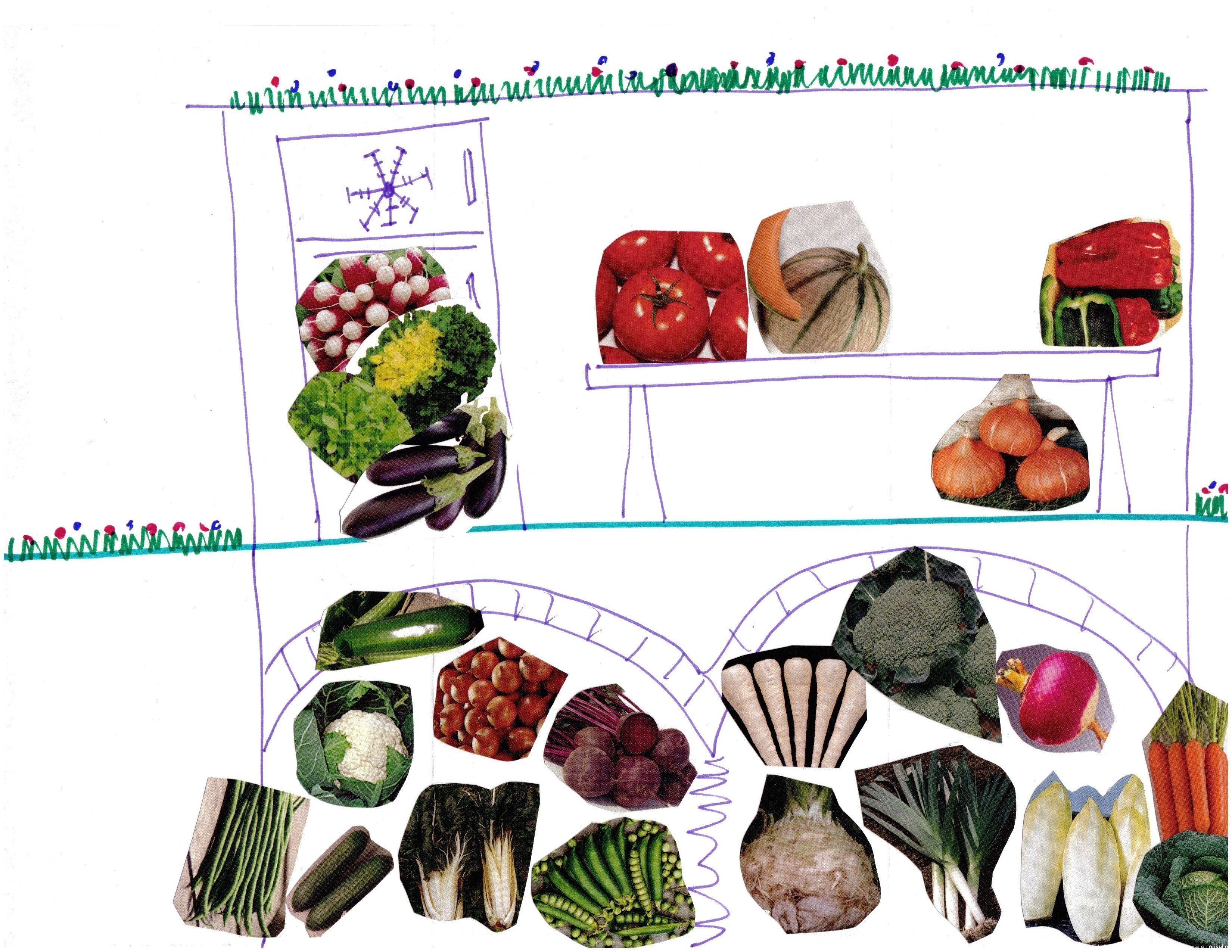 Conservation des légumes en image