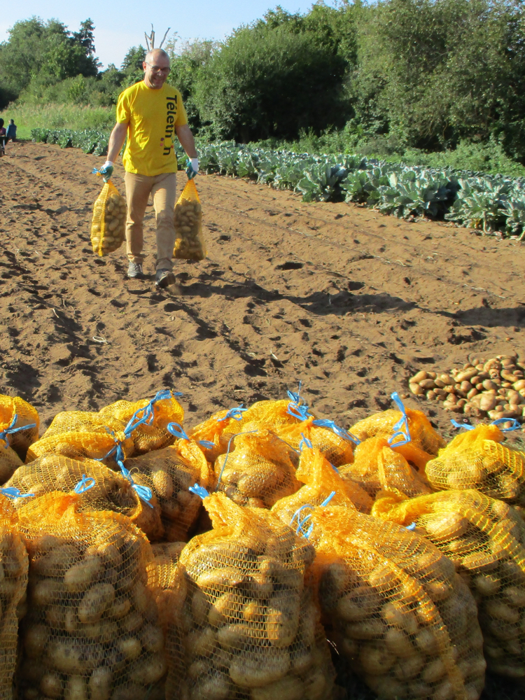 Lire la suite à propos de l’article Récolte des pommes de terre 2019