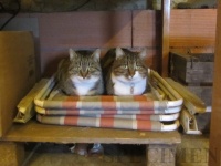 finalement, le plus simple est de patienter DANS LA PLACE