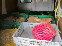 alors que dans le camion, personne ne prétend vouloir des croquettes