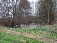 l'étang de la ferme #biodiversité #MaisFautAimerLeSulfure